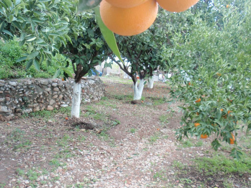 Ferienwohnung Antouan Matina Archangelos  Exterior foto
